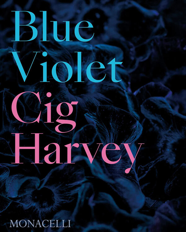 Cig Harvey – Blue Violet