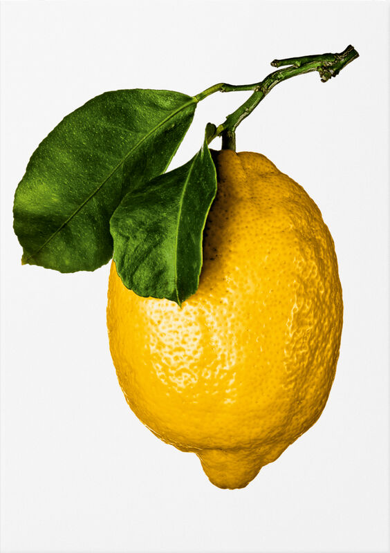 The Gourmand's Lemon